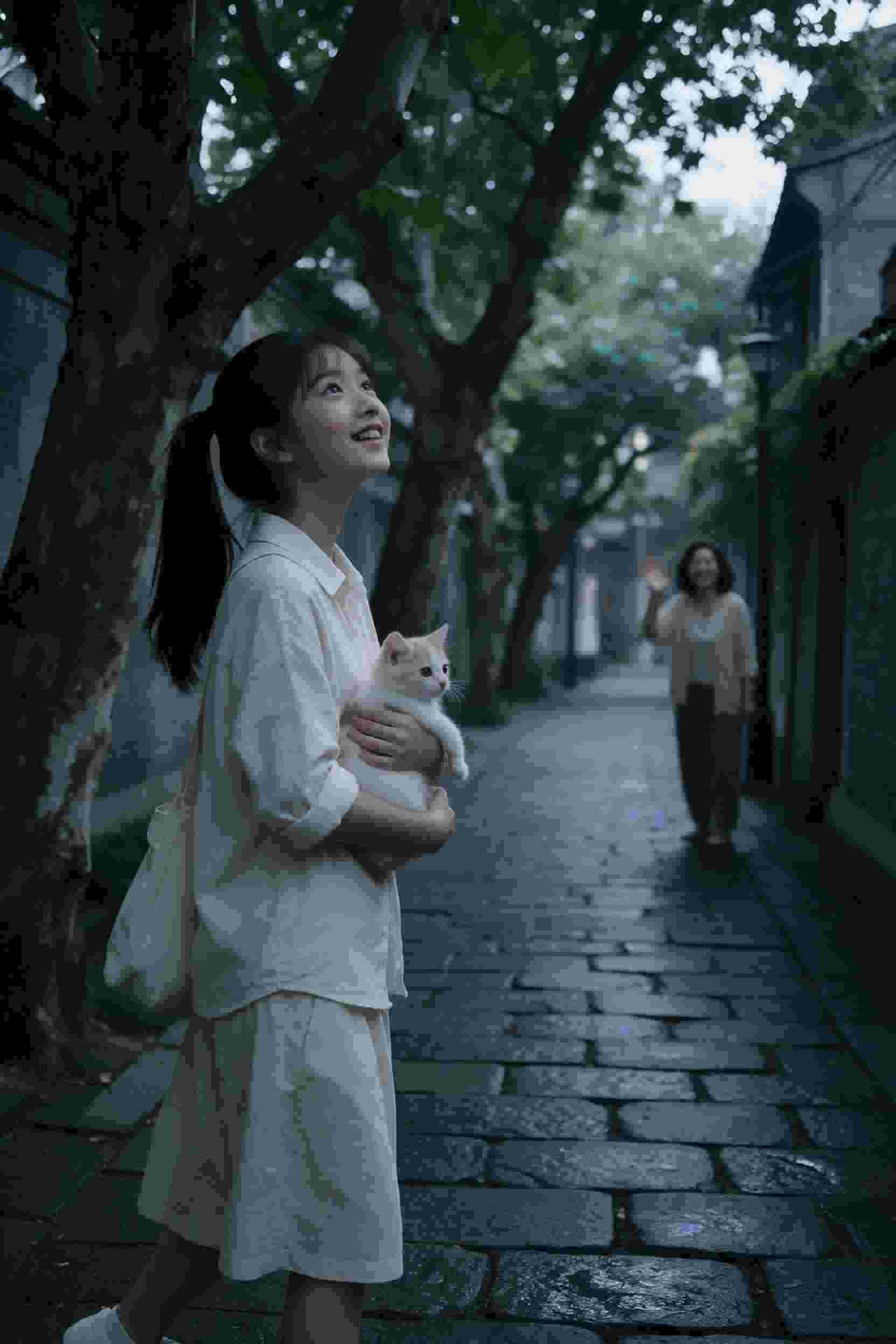 异维探险队
